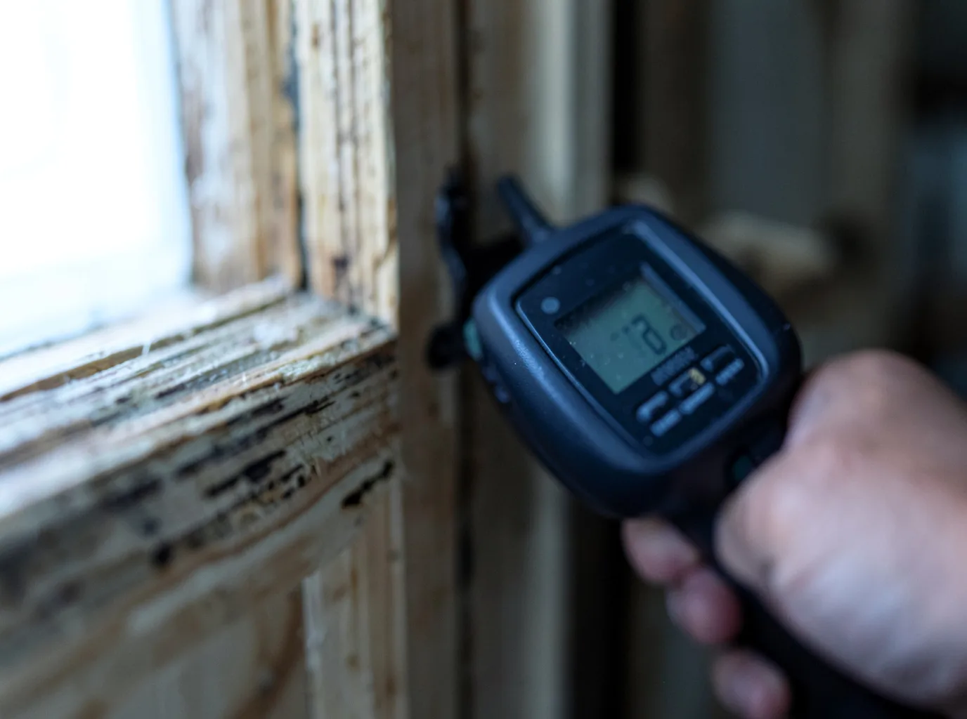 Commercial Water Damage Restoration in Marion Junction, AL